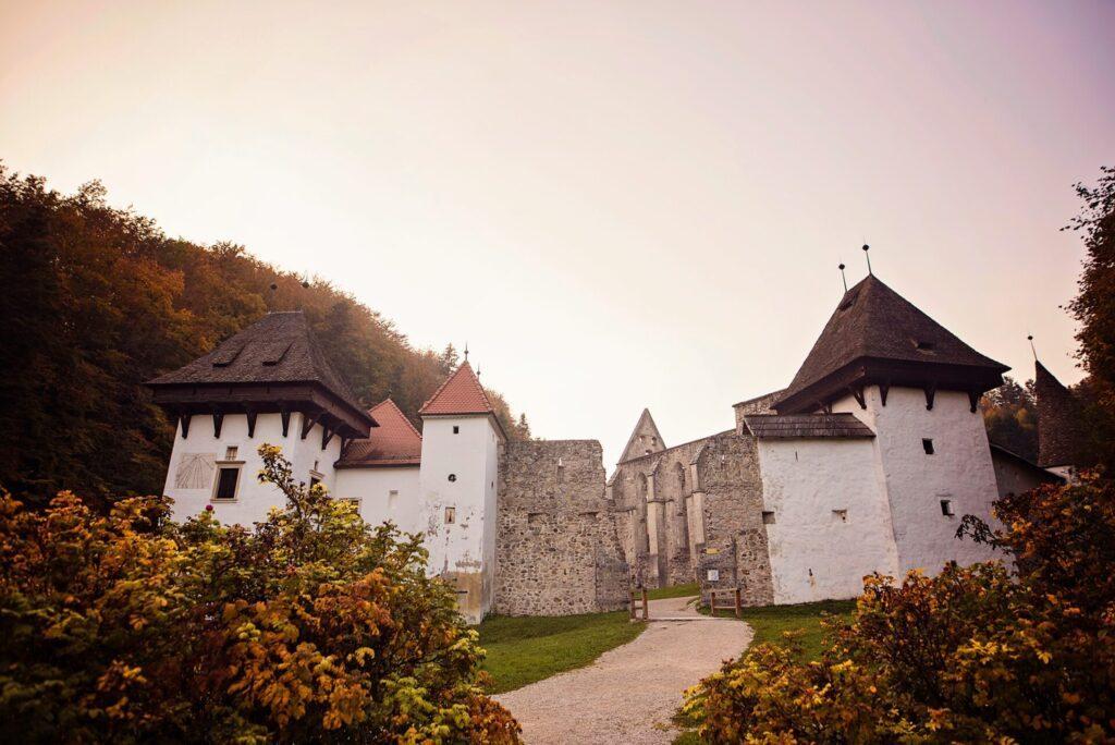 Žička kartuzija