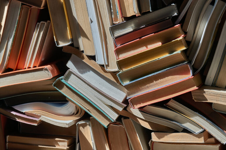 MIRA, ženski odbor Slovenskega centra PEN, objavil razpis za literarno nagrado MIRA 2024