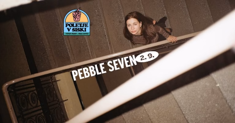 Poletje v Šiški | PEBBLE SEVEN