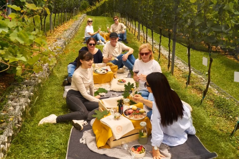 Piknik med grajskimi trtami