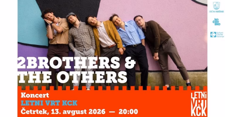 2Brothers & The Others, glasbeni nastop