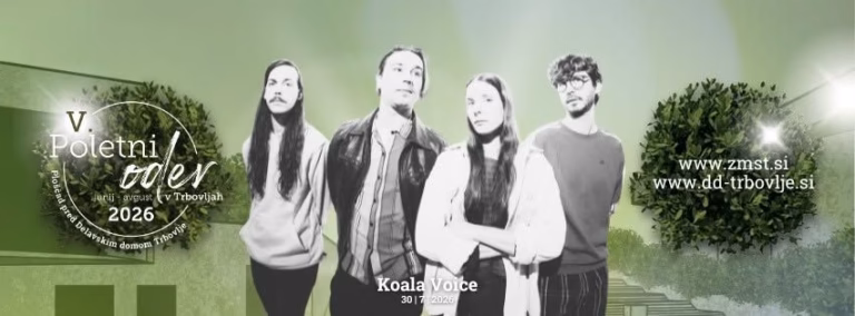 Poletni oder V – Koala Voice