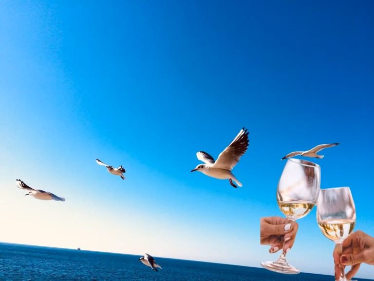 “ISOLA SHORT FILM NIGHT / ZOOM SLOVENIA & EUROPANORAMA / KINO & VINO & MIR 2026