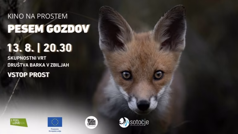 KINO NA PROSTEM: PESEM GOZDOV