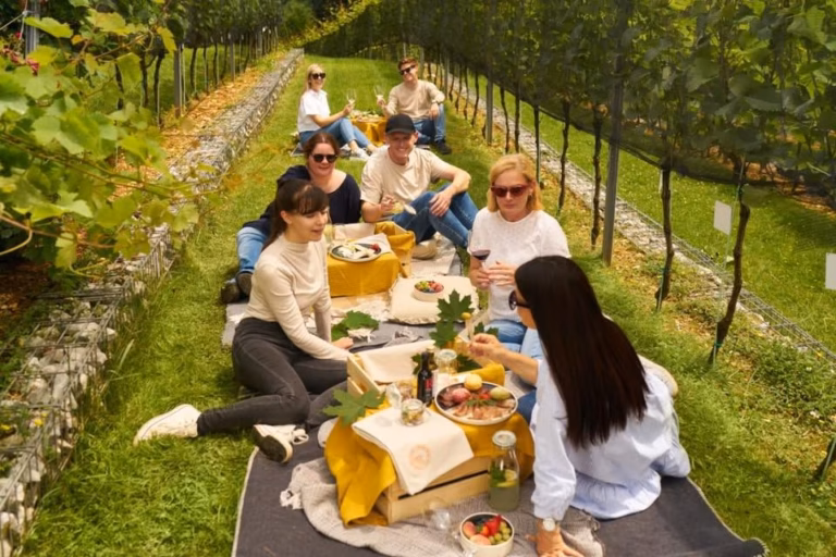 Piknik med grajskimi trtami