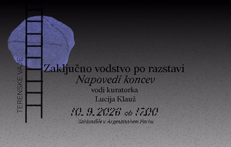 TERENSKE VAJE / Napovedi koncev – zaključno vodstvo po razstavi (Lucija Klauž)