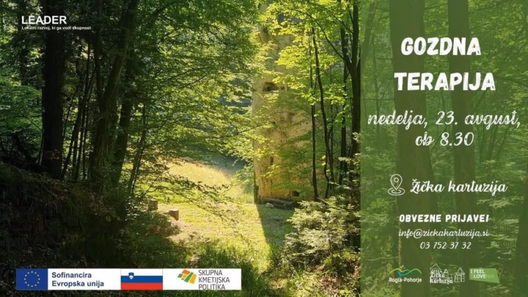 Gozdna terapija I 23. avgust