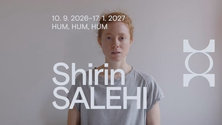 Odprtje razstave Shirin Salehi / Opening of the exhibition by Shirin Salehi