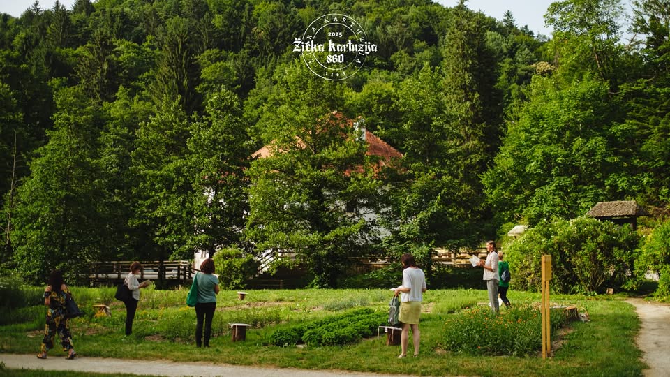 Opojne dišave zelišč na 3 načine