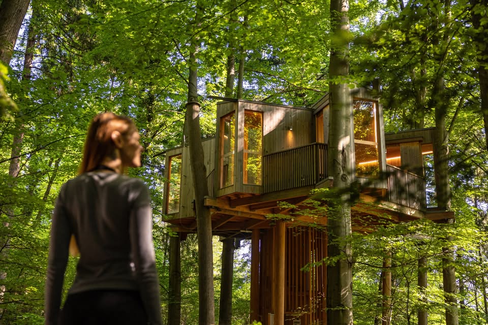 Ritual čuječnosti v Drevesni hiši Celje