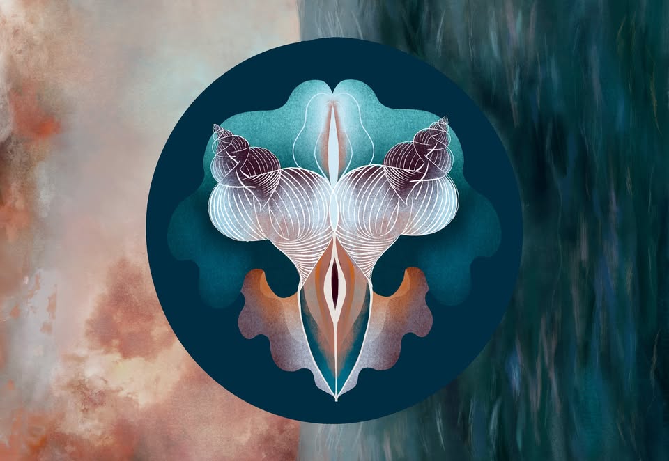 Nea Likar: SPIRA MARIS – Poglej morje, kako vibrira