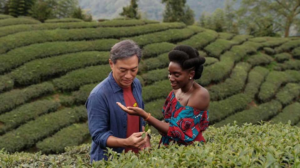 Poletni kino na prostem: ČRNI ČAJ