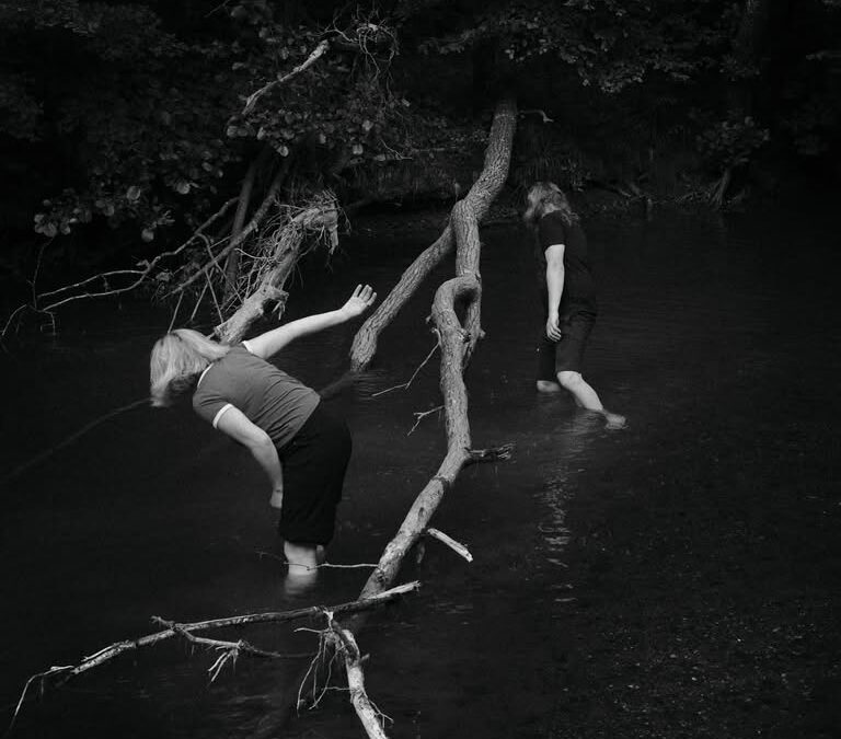 Sozvočja sveta:  VIKSIBAKSO