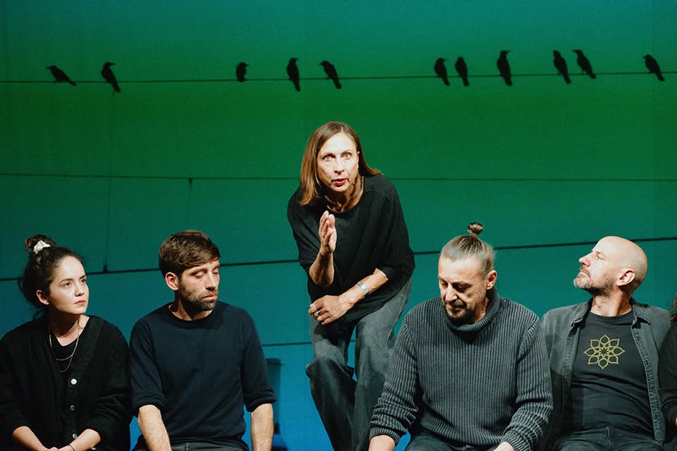 Jata / avtorski projekt za Modri abonma in izven