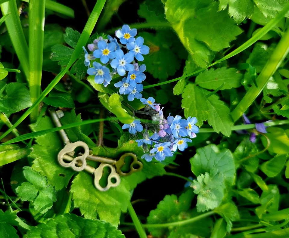 Ko demenca skriva ključe