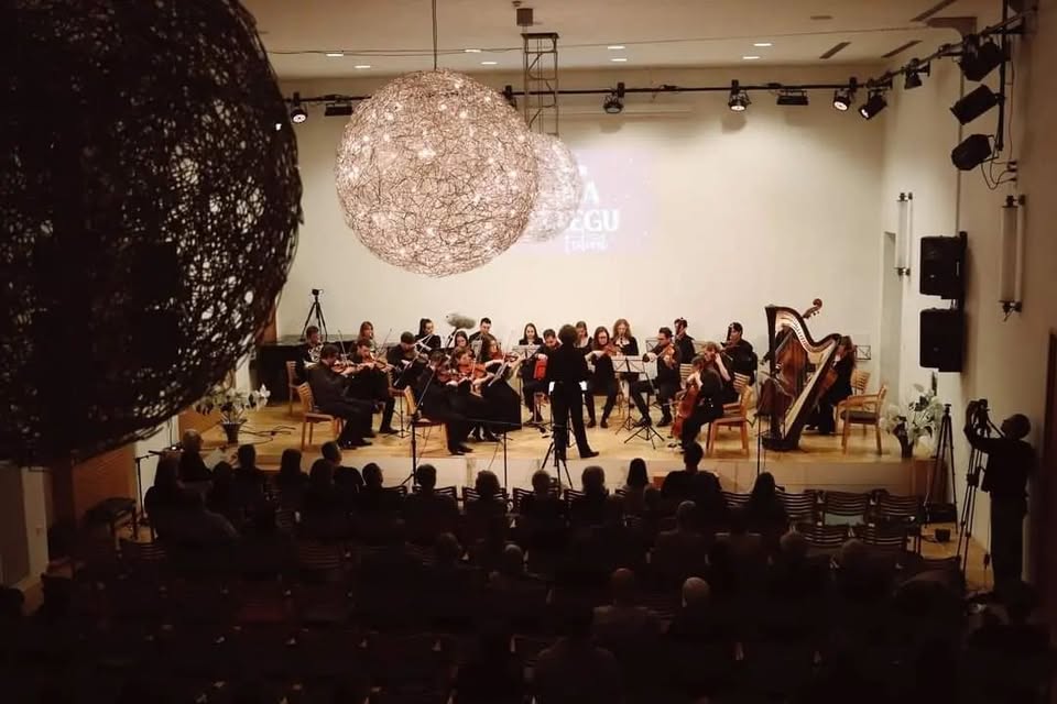 Orkester AMADEO s solisti / koncert