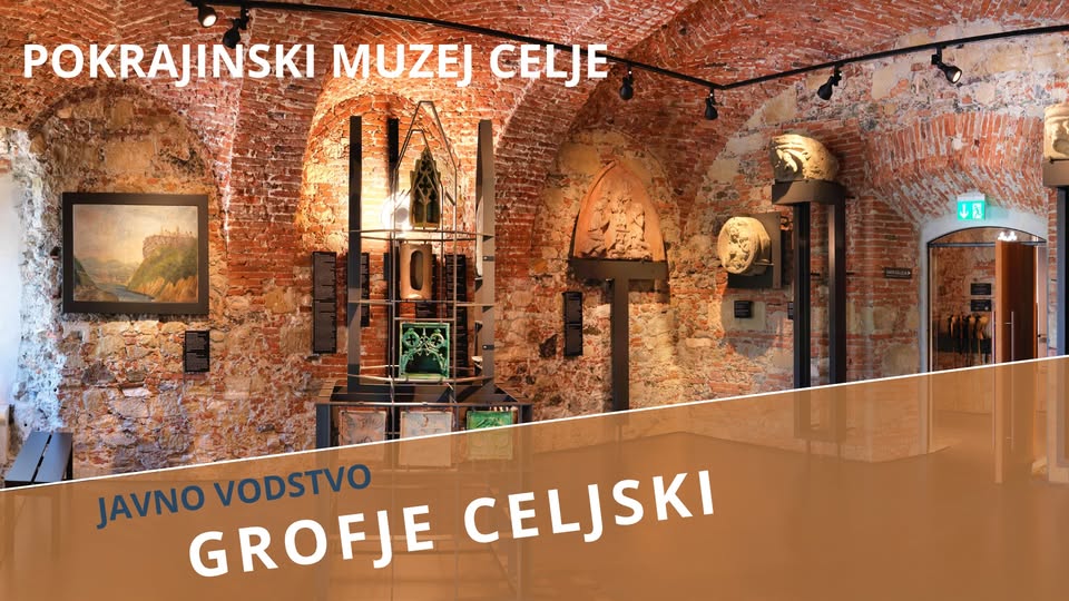 GROFJE CELJSKI, javno vodstvo