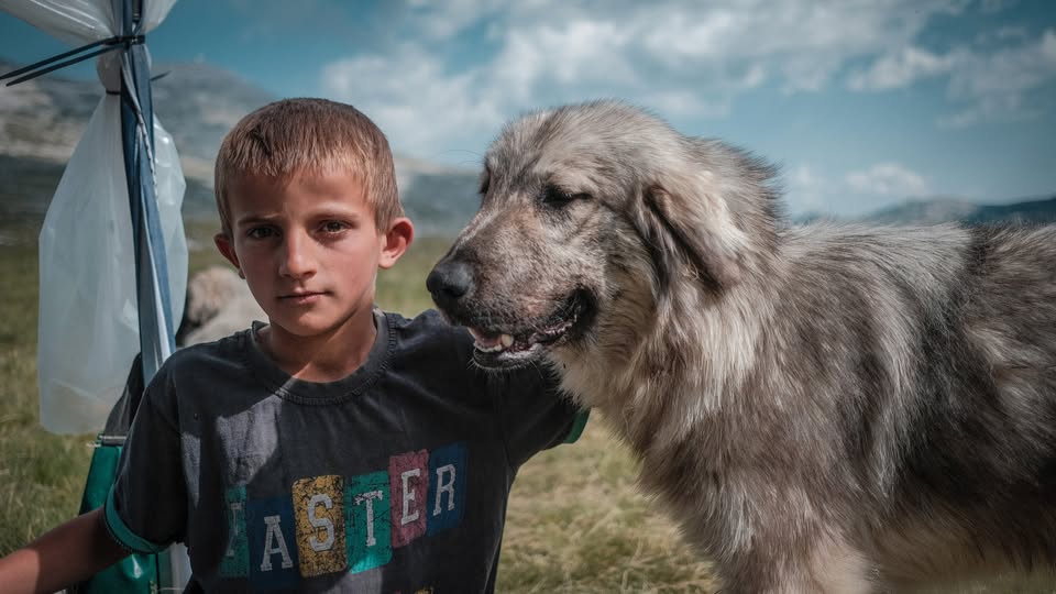Kinobalonova premiera | Poletne počitnice (10+)