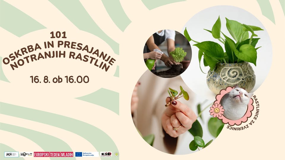 Rastlinice za zverinice: 101 oskrba in presajanje notranjih rastlin