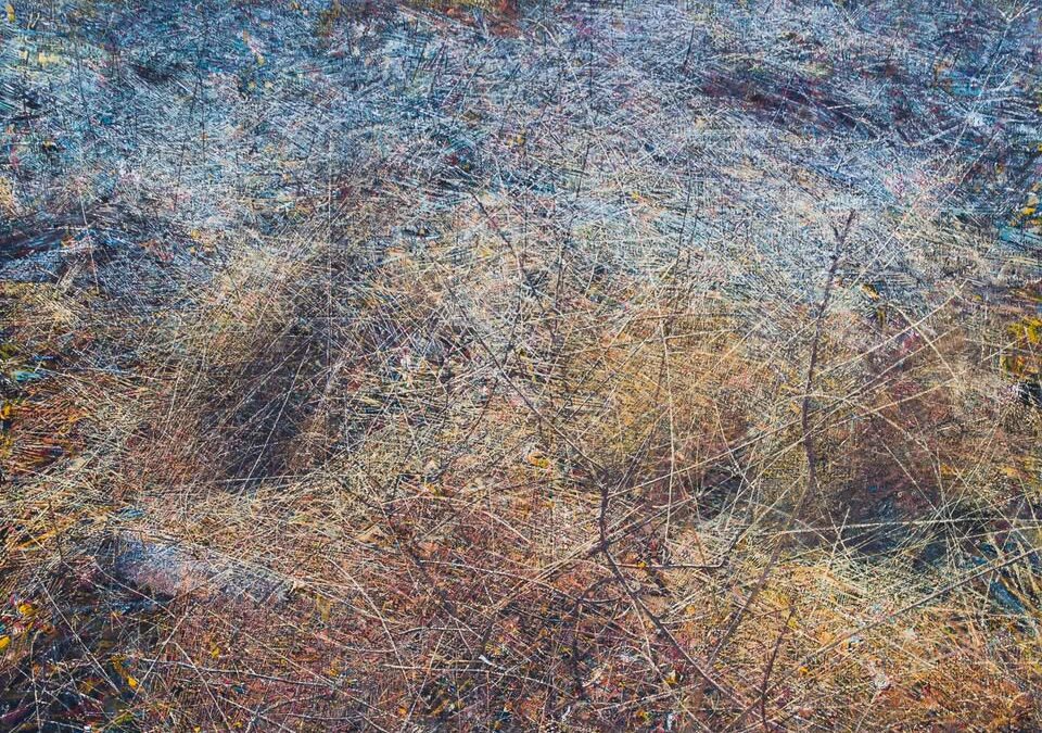 JONI: Dozorela nežnost