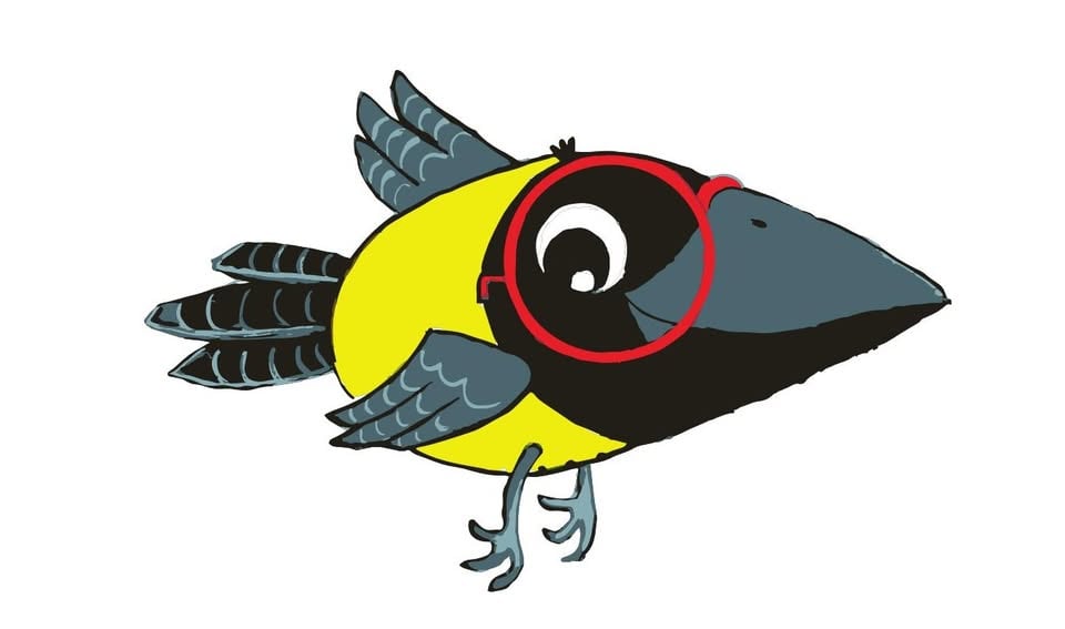 Bernekerjeve poletne ustvarjalnice v SG in na Ravnah!