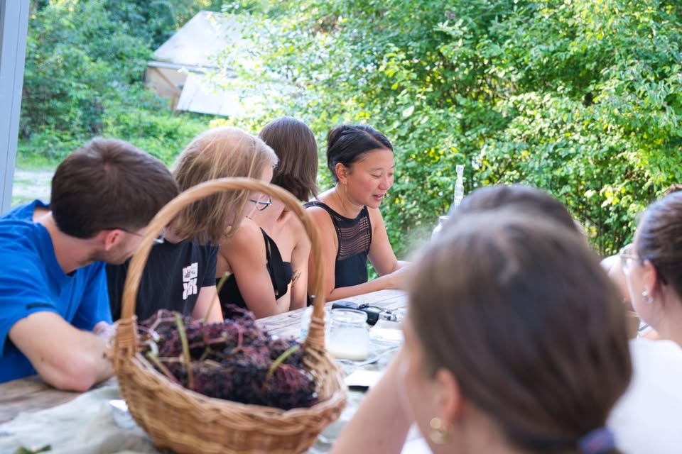 "Flavours of Transformation" Closing Table