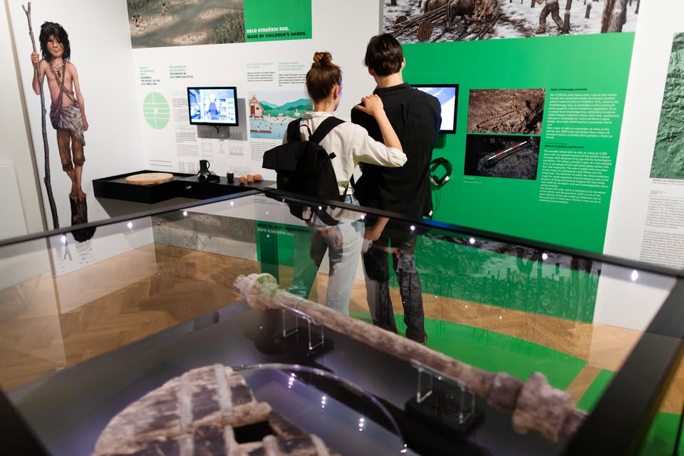 Od mostiščarjev h koliščarjem: Vodstvo po razstavi Ljubljana. Zgodovina. Mesto.