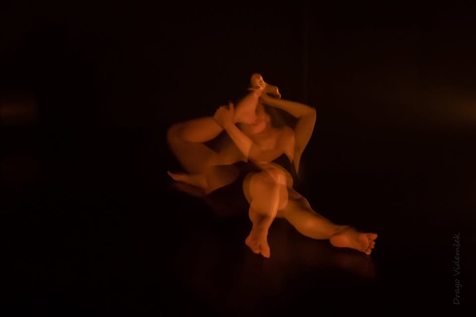 ČIGAVE OČI: delavnica + plesna predstava