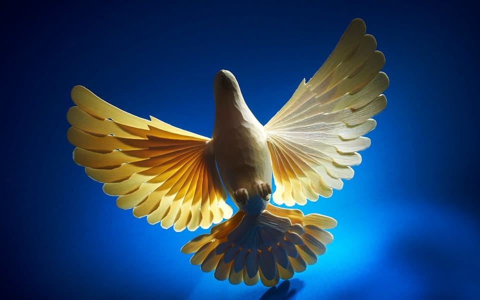 Tomo Jeseničnik: kreativna uporaba "svetlobnega čopiča"