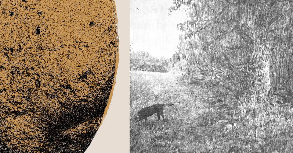 Agate Lielpētere & Luīze Rukšāne: Zemlja/Earth