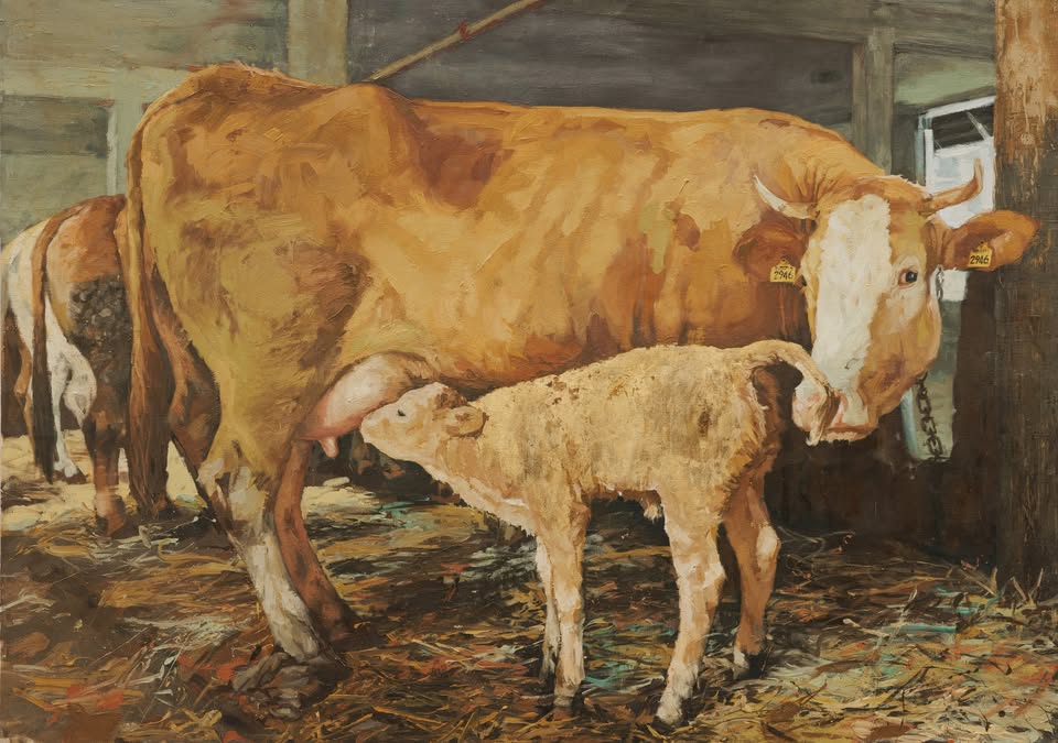 Lara Ješe: Slovenske krave