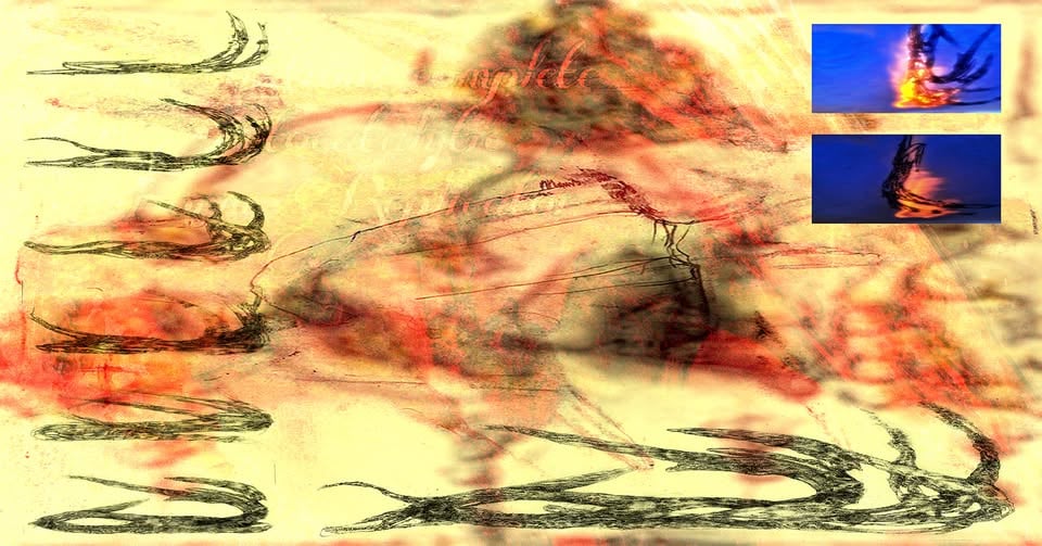 Assimilation Complete: Autocatalytic Form Replication by Samra Buljić