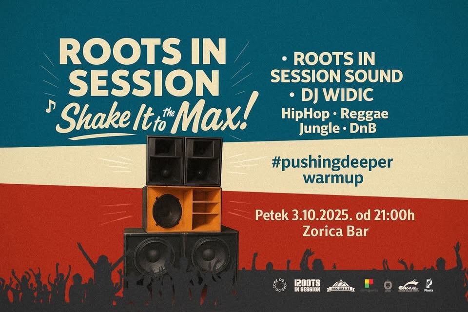 RIS Presents Shake It To The Max