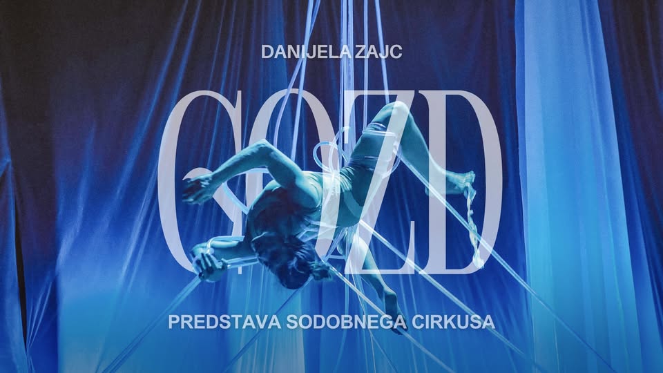 Danijela Zajc: Gozd