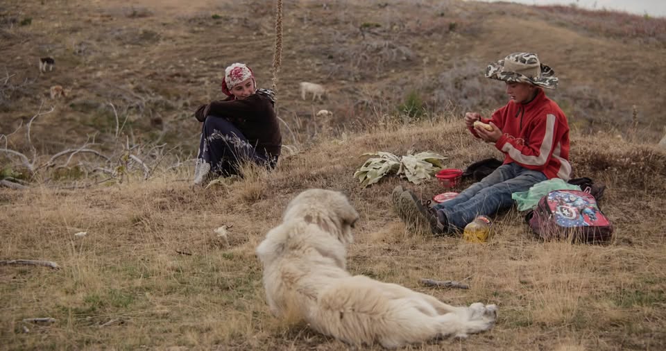 Naši filmi doma: Gora se ne bo premaknila