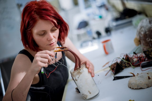 ŠANT: Zvočni prenosi Gaje, delavnica