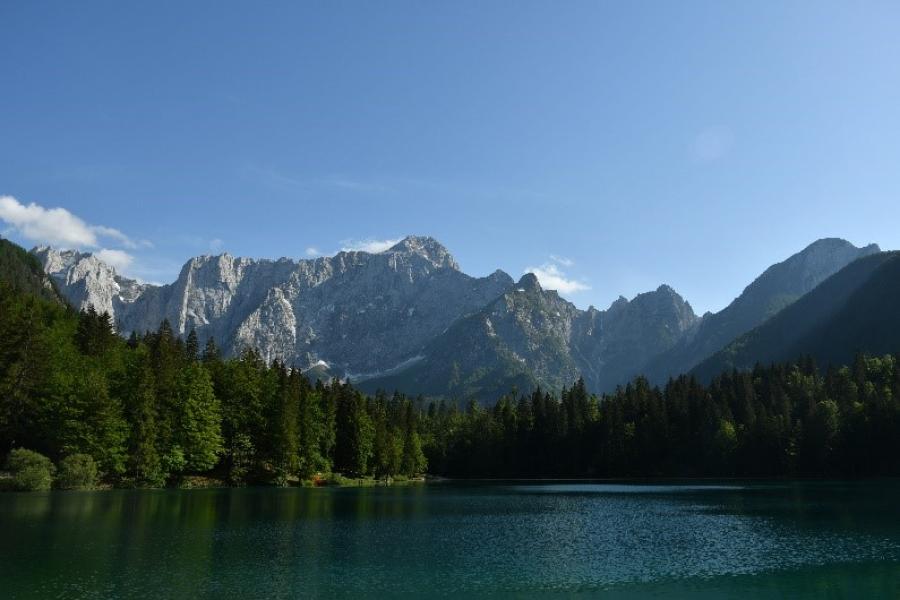 Ekološka povezljivost in načrtovanje prostora na Goriškem