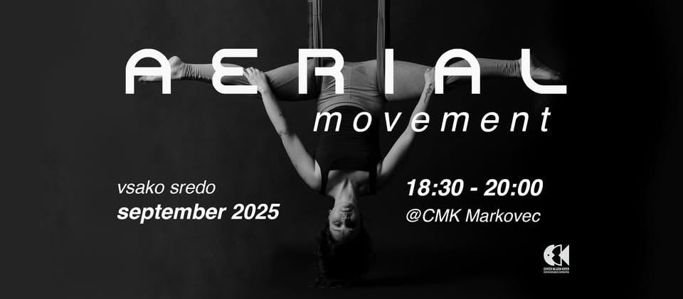 6. cikel delavnic: AERIAL movement