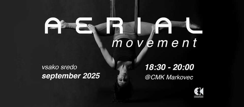 6. cikel delavnic: AERIAL movement