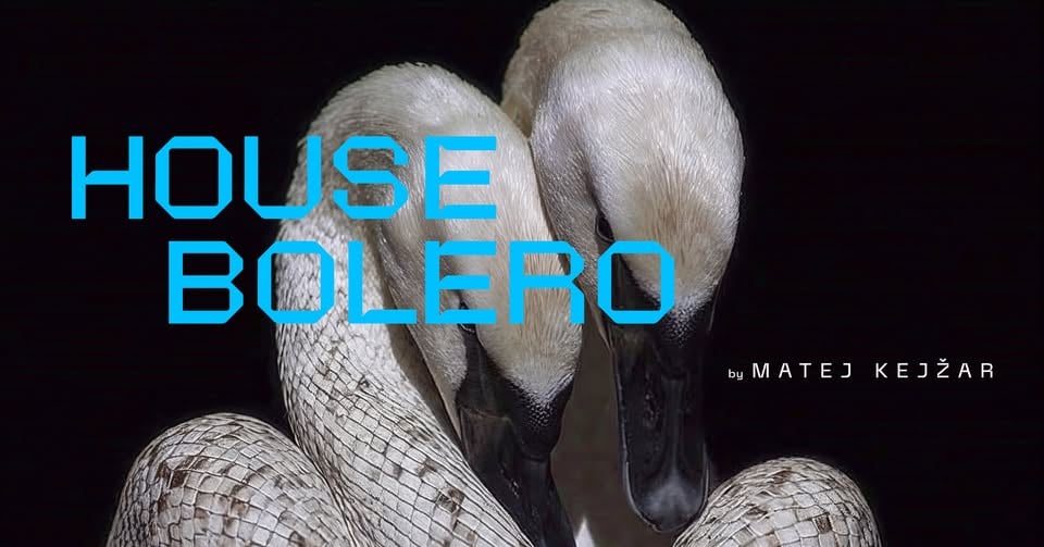 𝘏𝘰𝘶𝘴𝘦 𝘉𝘰𝘭𝘦𝘳𝘰 by Matej Kejžar at Les Brigittines – La Chapelle Petite rue des Brigittines, Brussels