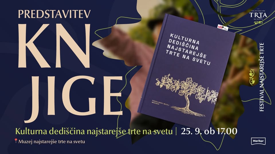 Festival Najstarejše trte // Predstavitev knjige Kulturna dediščina najstarejše trte na svetu