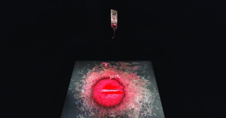 'Forensic Performativity'