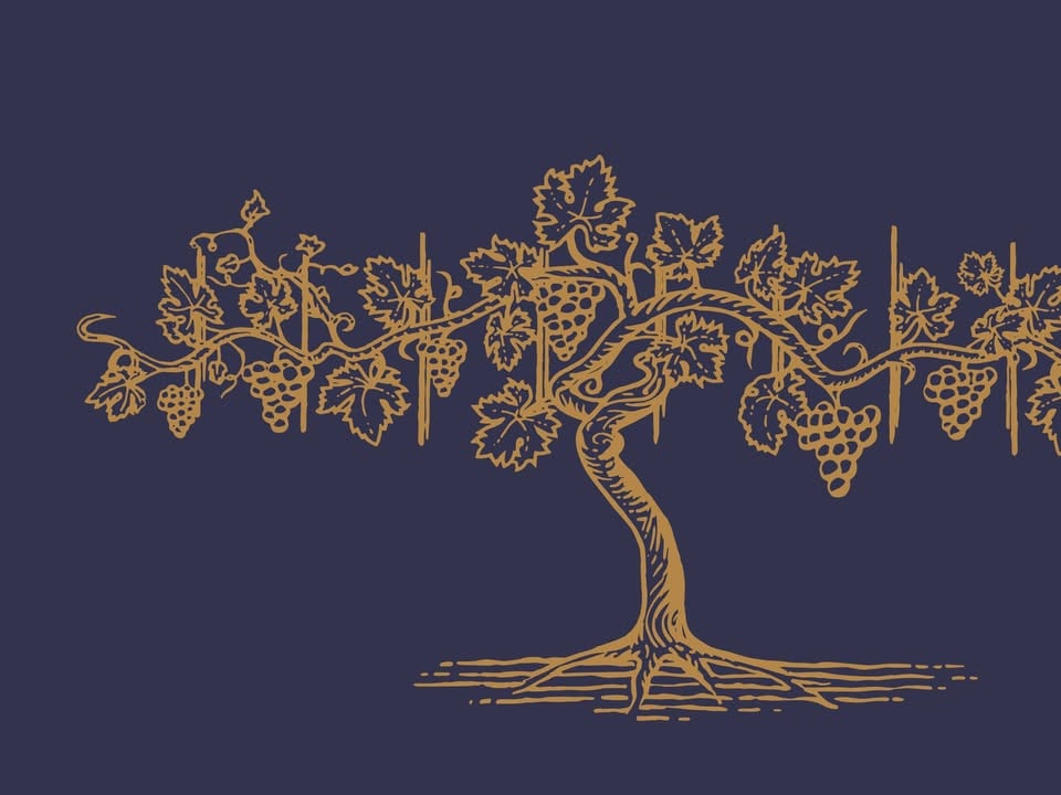 KULTURNA DEDIŠČINA NAJSTAREJŠE TRTE NA SVETU