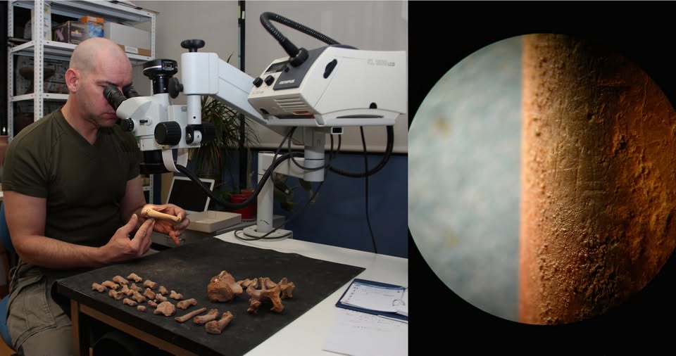 Boštjan Odar: Zareze in luknje v kosteh, muzejsko predavanje