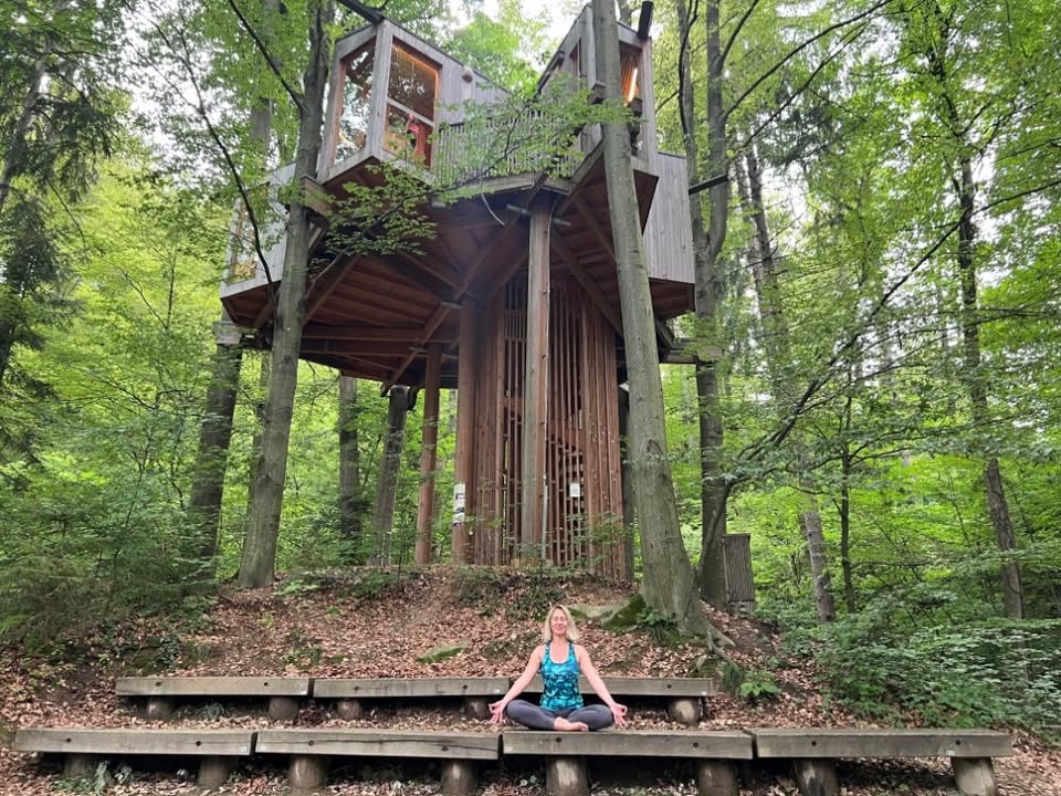 Joga & meditacija med drevesi pri Drevesni hiši Celje