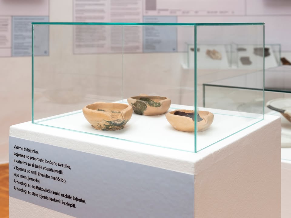 Javno vodstvo po razstavi Primer Bukovščica