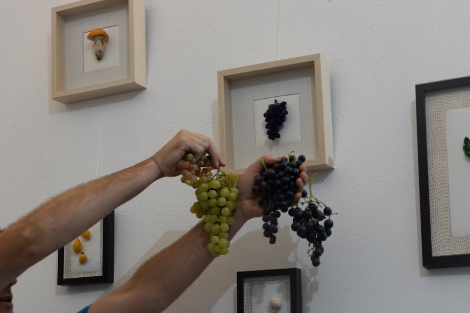 Čebelko: Zelenjavne kvačkanine /Mladi v Stopnišču 2025