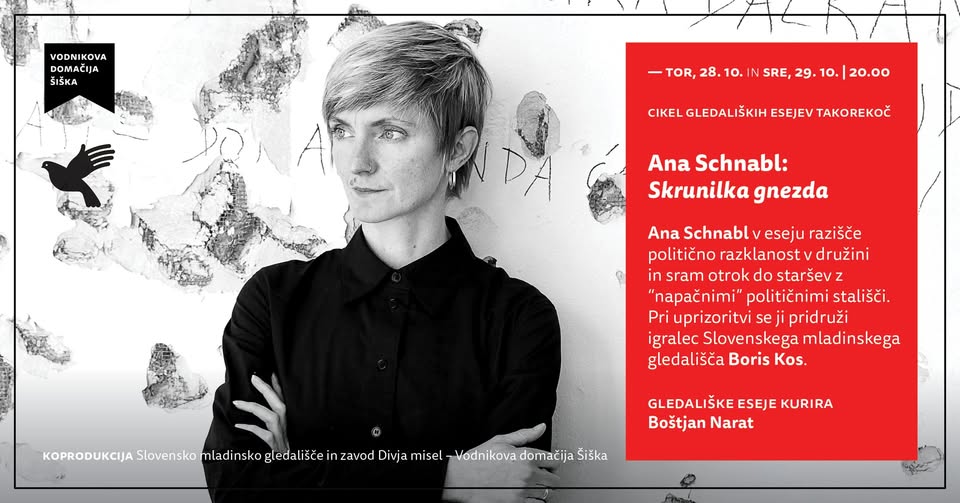 Iz cikla gledaliških esejev Takorekoč | Ana Schnabl: Skrunilka gnezda