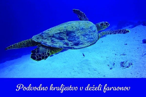 Podvodno kraljestvo v deželi faraonov