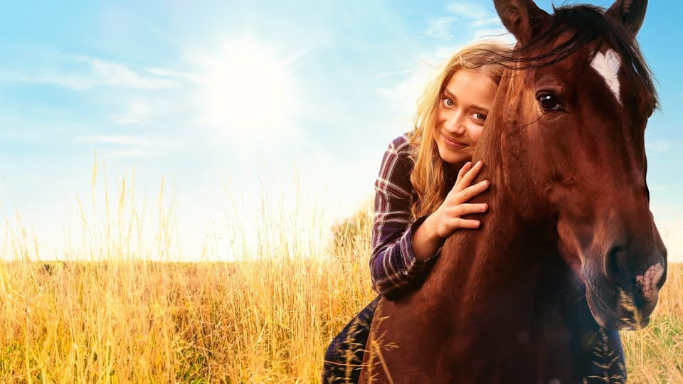 POČITNIŠKI KINO: Ponisrček